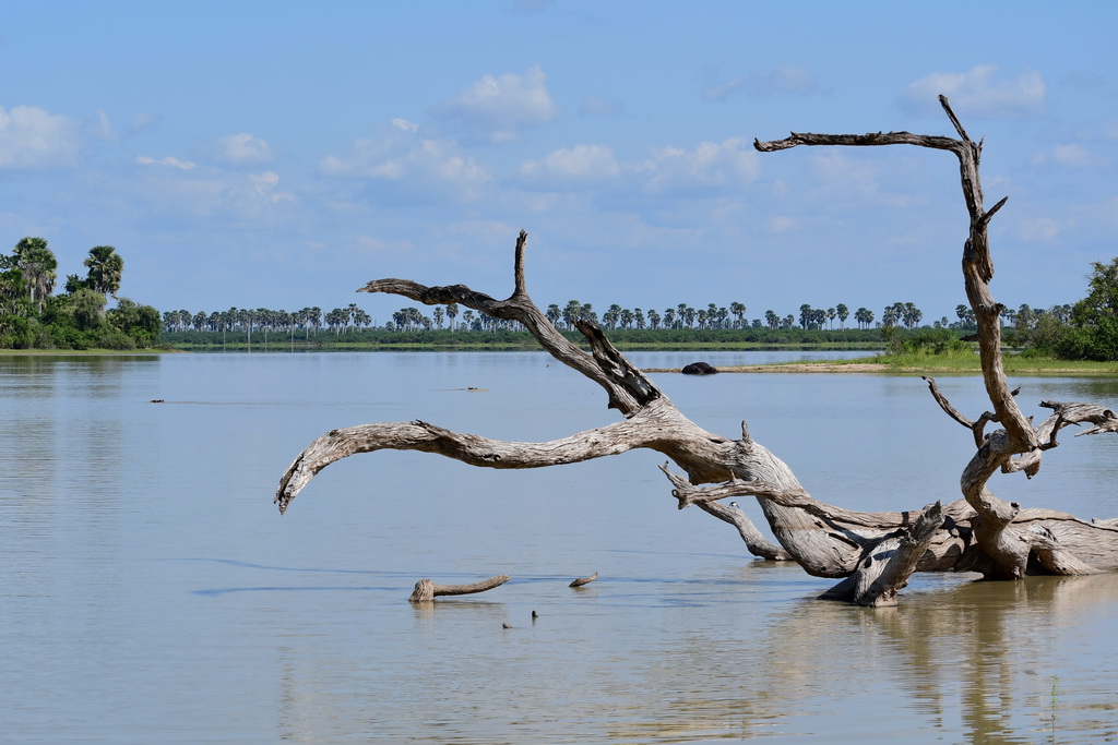 Selous NP